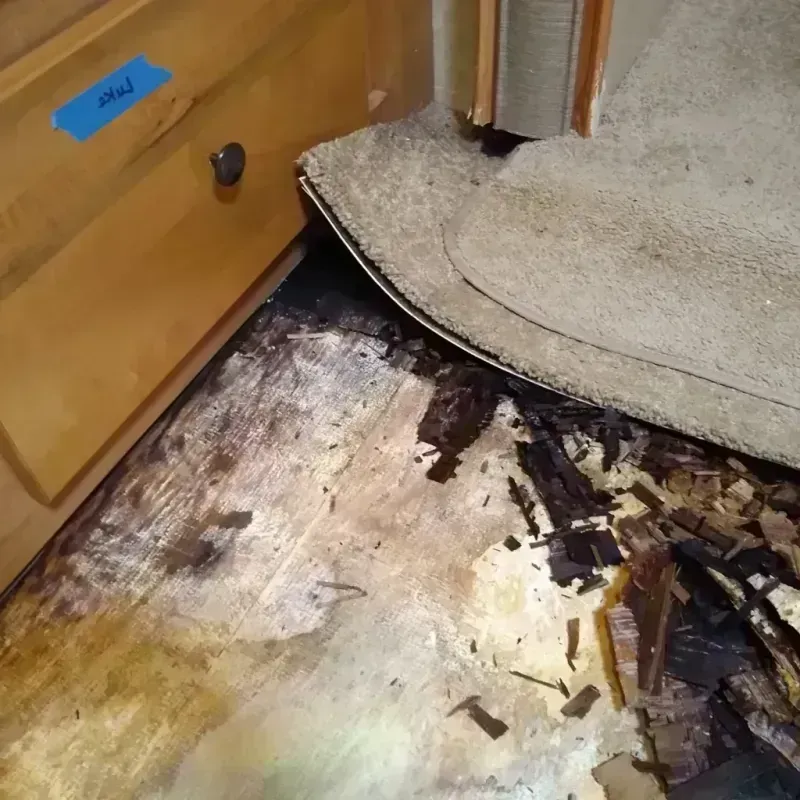 Wood Floor Water Damage in Woodsboro, MD